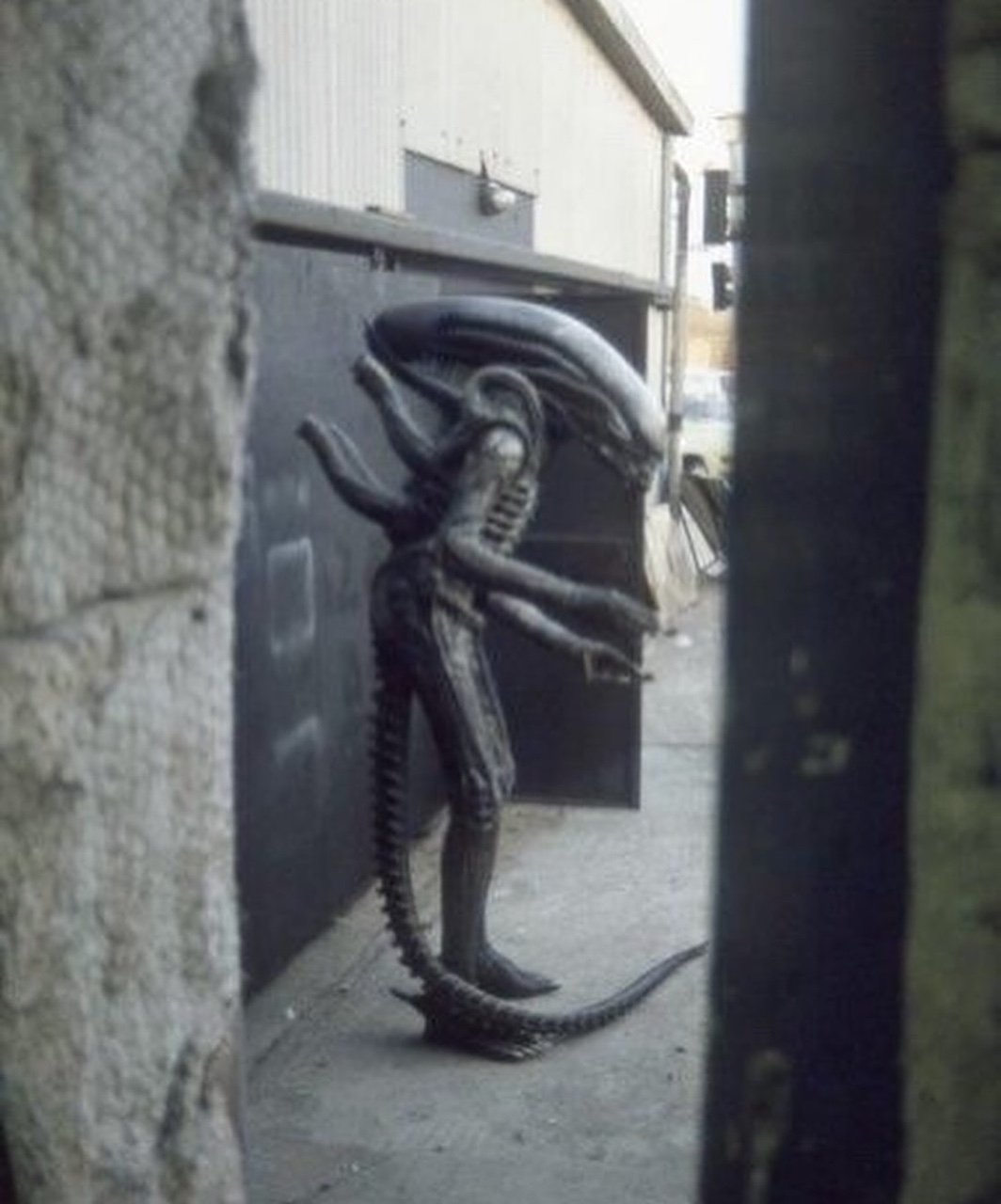 Alien